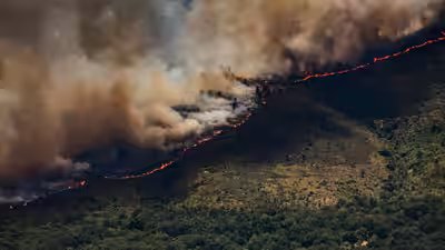 Spain wildfires.jpg