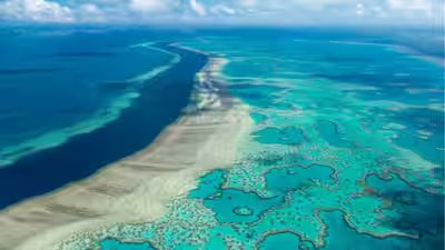 The great barrier reef near the whitsunday australia region is viewed from the air ap photo.jpg