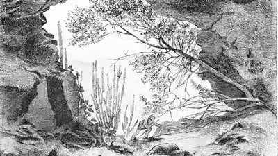 They burned grass as part of rituals tied to magic and healing.jpg