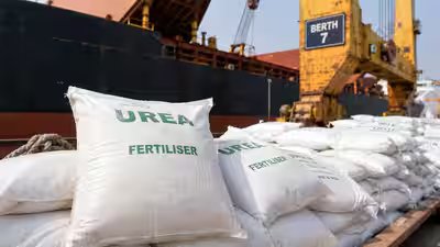 Urea.jpg