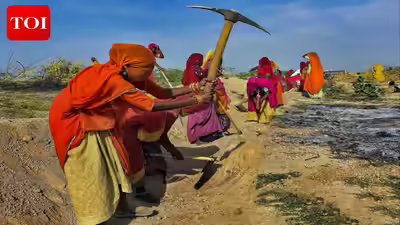 Vb g ram g india39s new rural jobs scheme promises more work but shifts burden to states.jpg