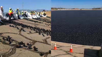 Why los angeles dropped 96 million black balls into drinking water.jpg