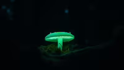 Why some forests in mexico glow green after sunset and the tiny fungi behind the eerie light.jpg