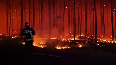 Wildfire in the gironde department.jpg