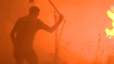 Wildfire.jpg