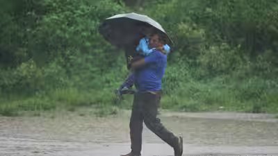 1785541497 representative image.jpg