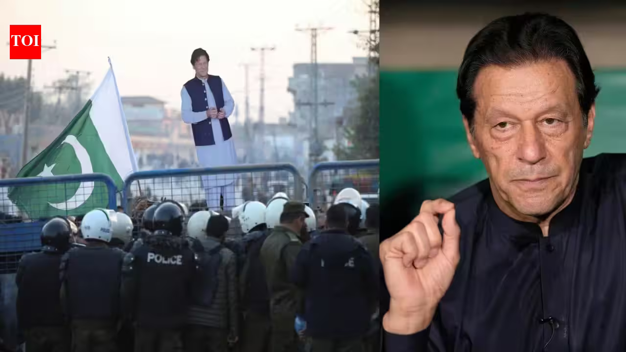 1785990046 photo.jpg