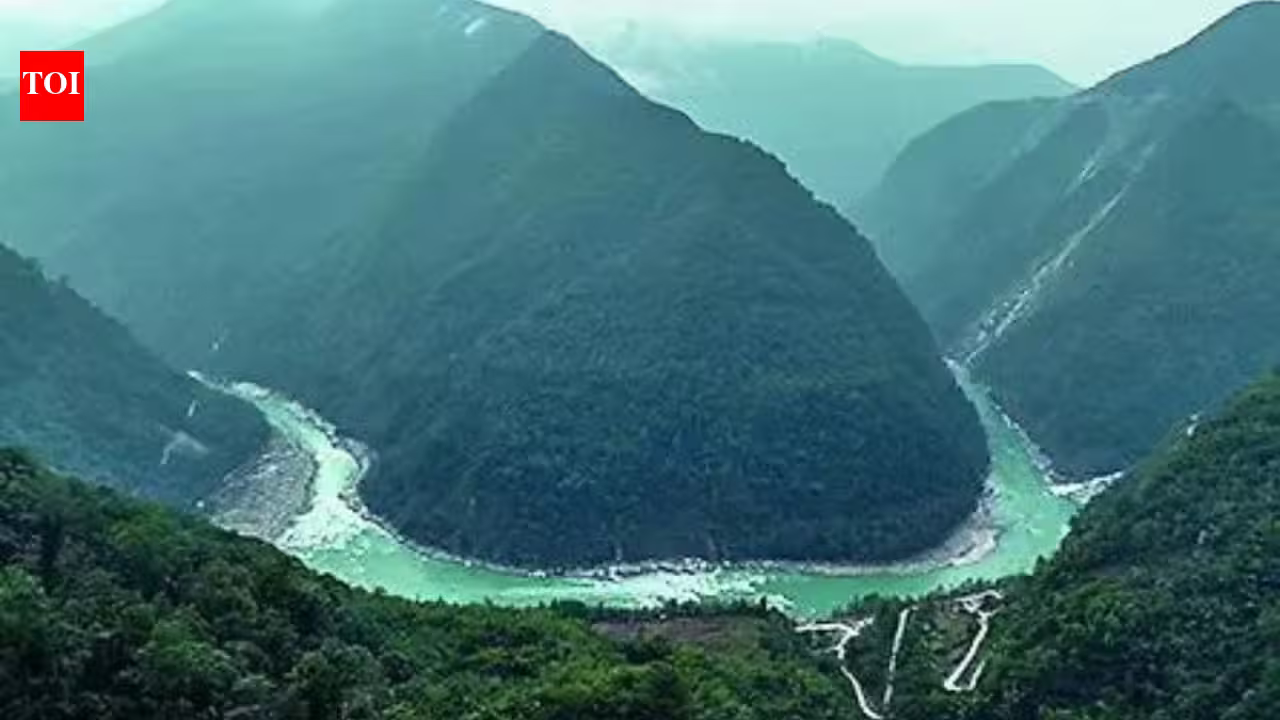 1786134165 photo.jpg