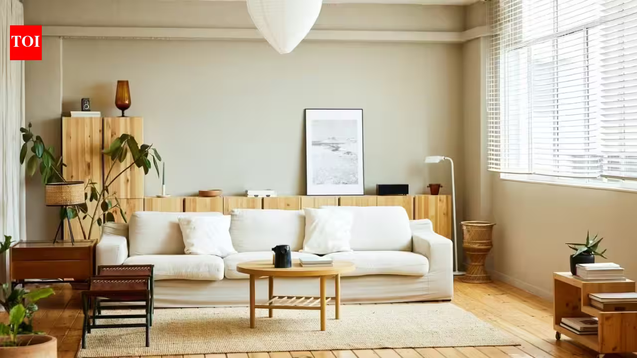 1786167519 photo.jpg