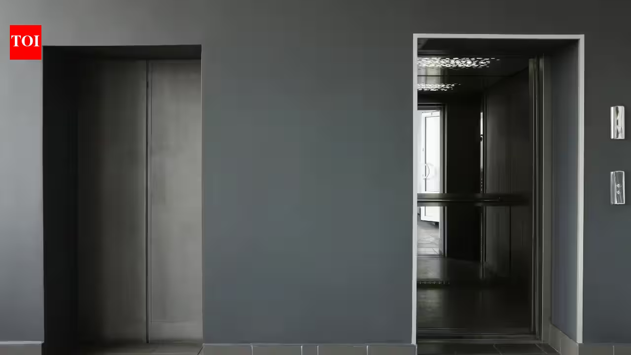 1786226869 photo.jpg