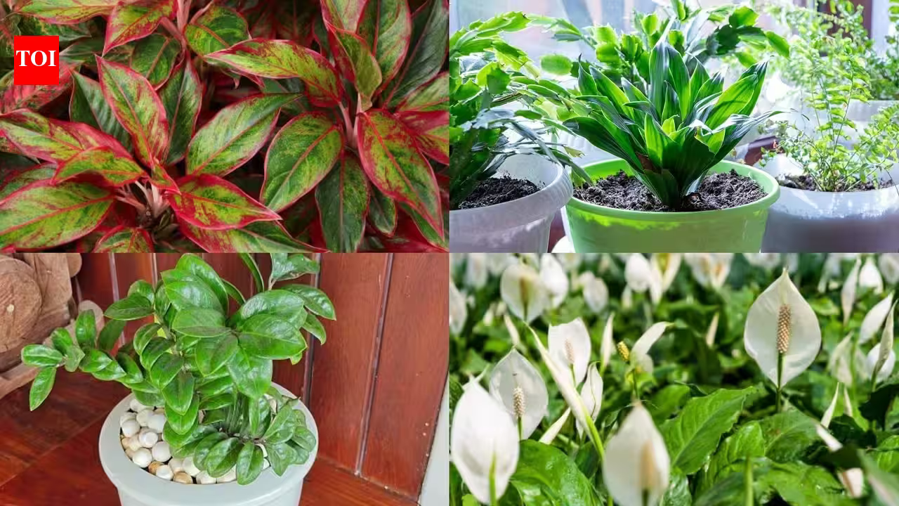 1786333350 photo.jpg