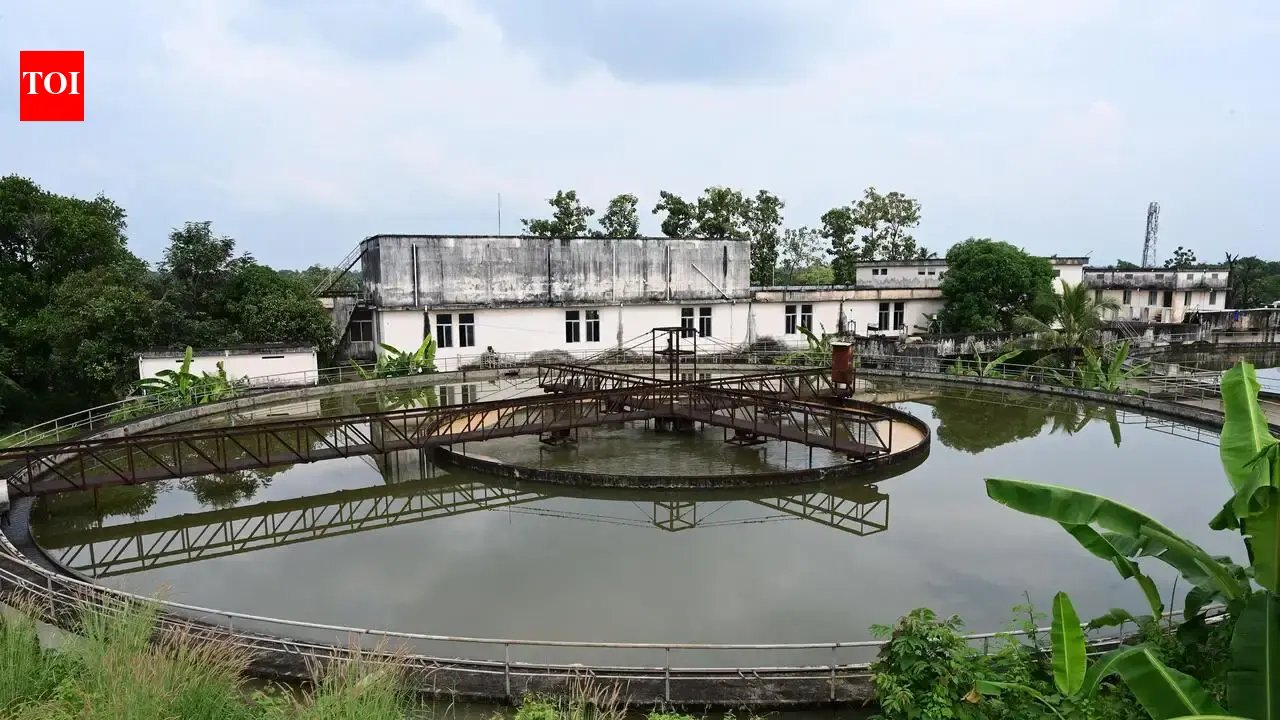 1786814641 photo.jpg