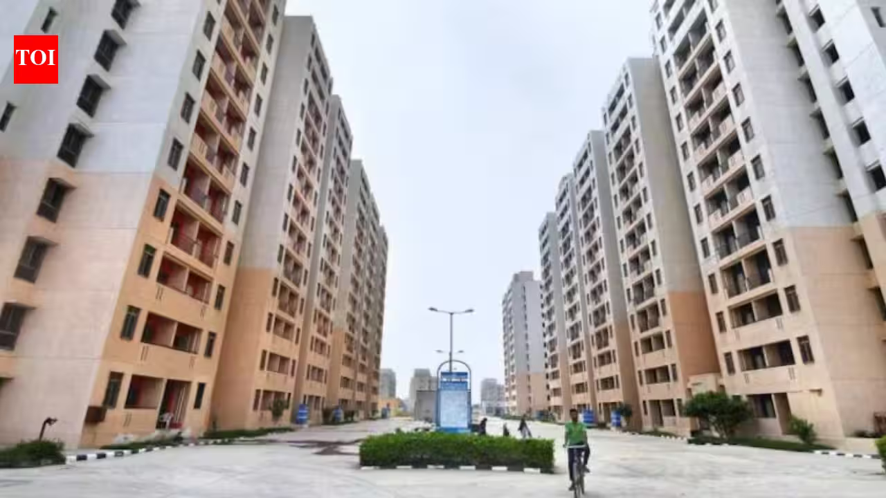 1786940217 photo.jpg
