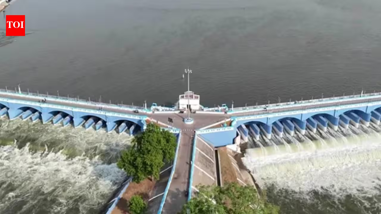 1786955173 photo.jpg