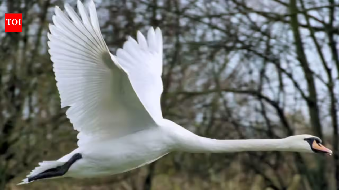 1787303639 photo.jpg