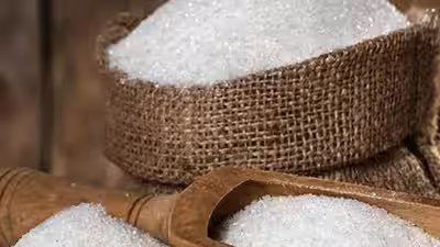 1787603739 sugar.jpg