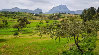 A lost chapter in the history of ethiopia agriculture.jpg