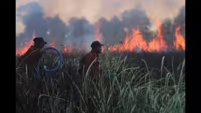 Aptopix indonesia wildfires.jpg