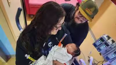 Baby nova recovering.jpg