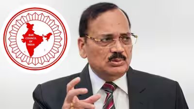 Cji bar council.jpg