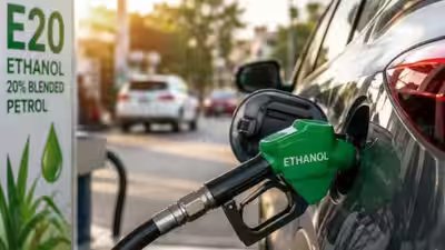E20 petrol controversy.jpg