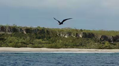 Henderson island .jpg