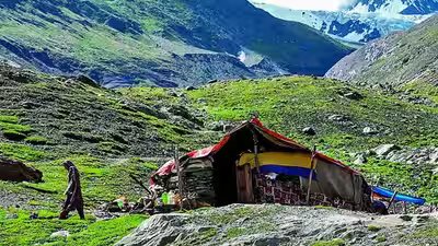 High altitude wildlife safari in ladakh soon.jpg