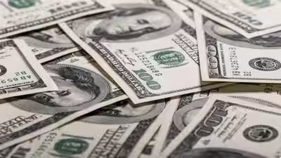 Indias forex kitty.jpg