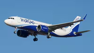 Indigo ventures.jpg
