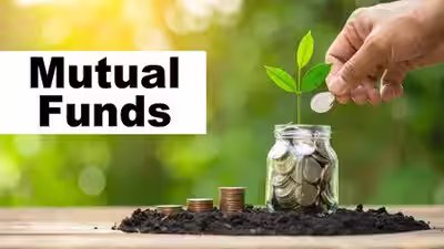 Mf equity investments double in november to rs 43465 crore.jpg
