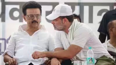 Mk stalin and rahul gandhi.jpg