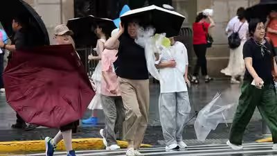 Over 1 million evacuated as typhoon dolphin hits eastern china photo ani.jpg