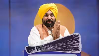 Punjab cm bhagwant mann pti file photo.jpg