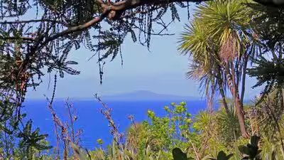 Rangitoto framed tiritiri matangi island.jpg
