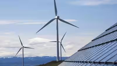 Renewable energy.jpg