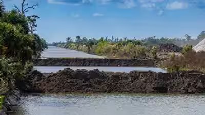 The picayune strand restoration project.jpg