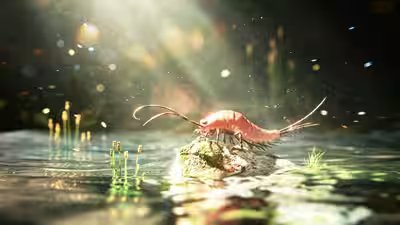 This 324 million year old insect had 24 legs and swimming paddles.jpg