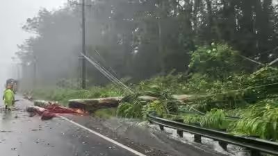 Tropical weather hawaii.jpg
