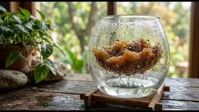 University of texas researchers turn everyday biomass into a machine that makes water from air.jpg