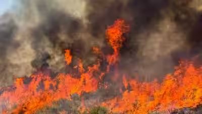 Utah wildfire.jpg