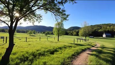 Vermont nature center trail.jpg