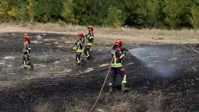 Wildfire aftermath in deliblato sands.jpg
