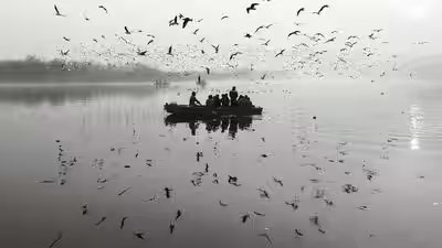 Yamuna river.jpg
