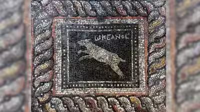 A panel of the mosaic depicts a dog named ocean.jpg