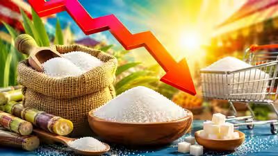 Imported sugar is yet to land so why is it getting cheaper.jpg