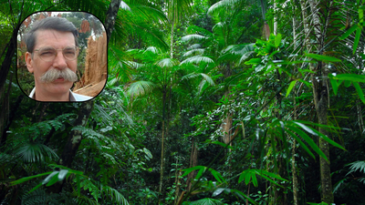 Philip fearnsides research has calculated the costs of losing the amazon on account of deforestation.png