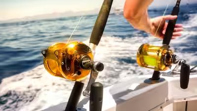 Rare warm water fish are suddenly showing up off southern california.jpg